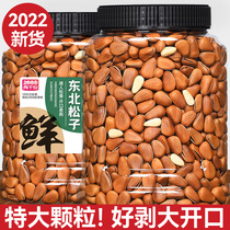 Thyme Flavoury New Cargo Pine Subterge Extra-large 500g New Cargo Hand Exfoliating Pine Nuts Big Grain Dry Fruits Nuts