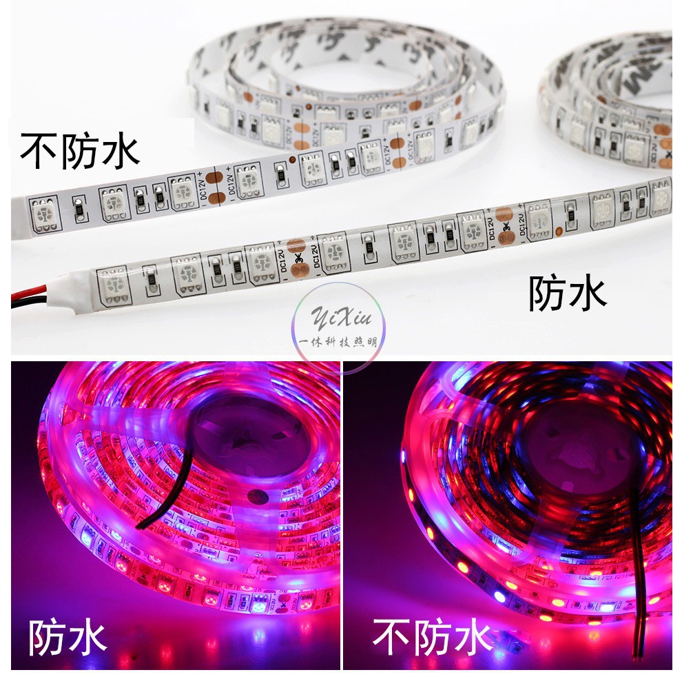 5050多肉植物生长花果蔬菜led软灯条复合补光灯4红1蓝12V防水灯带 - 图1