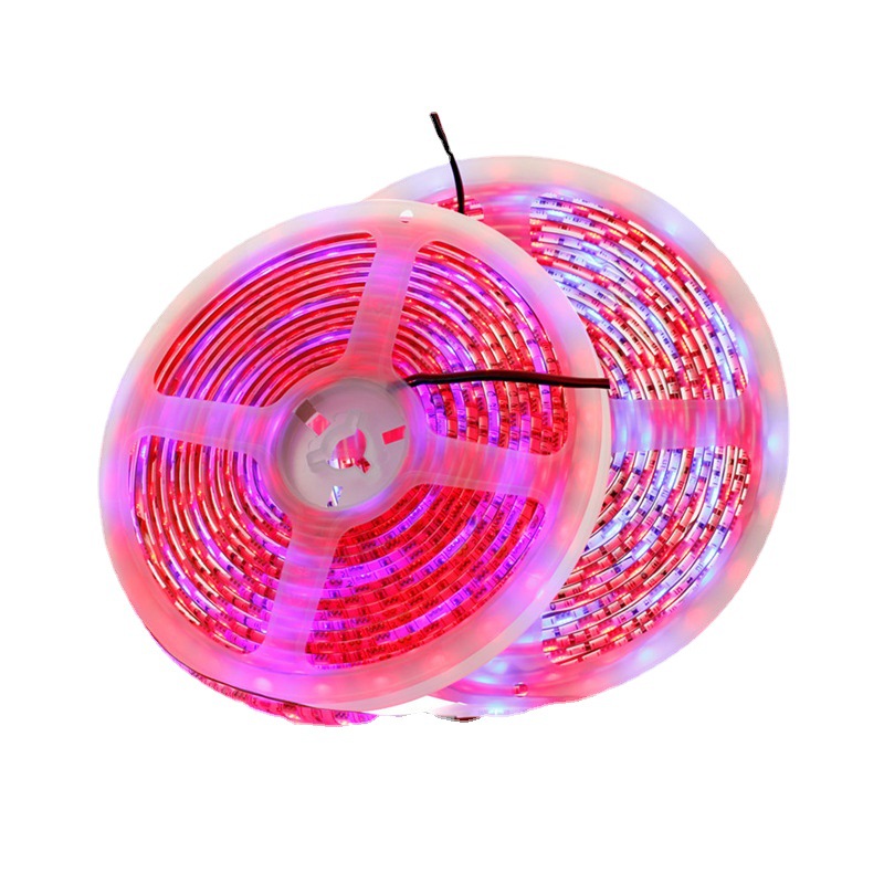 5050多肉植物生长花果蔬菜led软灯条复合补光灯4红1蓝12V防水灯带 - 图3