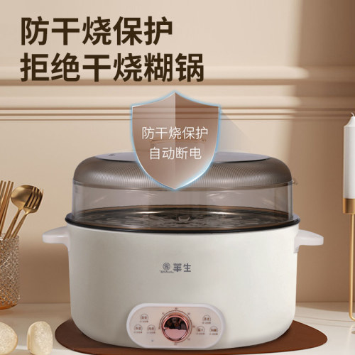 【直播同款】华生电蒸锅多功能家用多层蒸煮一体锅新款电火锅正品 - 图0