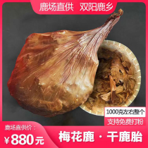 Deer tyre powder Tohoku Shuangyang Luxiang whole only Mei Flower Deer Deer Tire with Fetal Paste and Powder Nourishing and Nourishing Conditioning