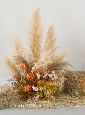 自然芦苇干花秋色装饰仿真花假花