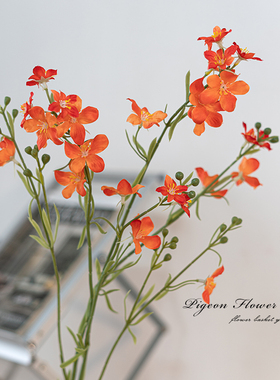婚庆鸽子花装饰花插花花束布置