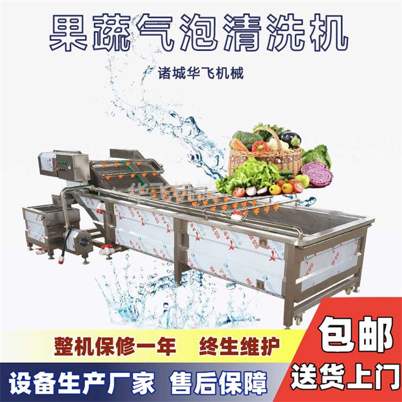 Continuous ginger cleaning machine, commercial ginger cleaning line, root vegetable mud removal and washing equipment