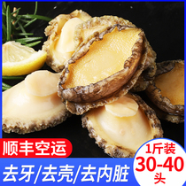 Abalone Meat Alive Abalone Frozen to shell Visceral Pure Small Abalone Meat Seafood Aquaculture Commercial Whole Boxes Wholesale