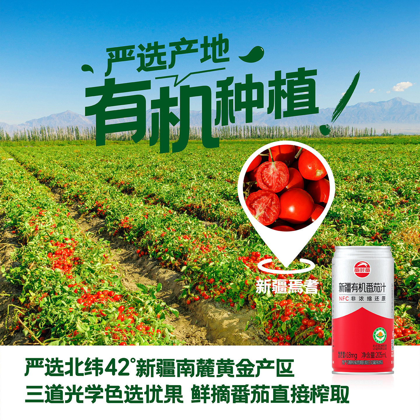 【林依轮直播间】番时番新疆番茄汁鲜果原榨非浓缩还原310ml*12罐