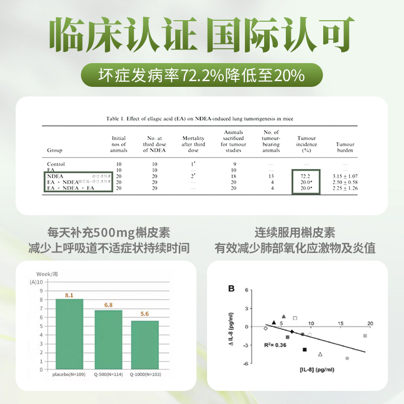 原知因进口槲皮素清肺片高活半胱氨酸肽鞣花酸酶养护肺部保健品 - 图3