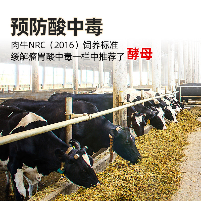 安琪福邦邦立胃 反刍动物专用酿酒酵母牛羊瘤胃消化每克200亿活菌,淘宝优惠券,粉丝福利购,淘宝优惠卷