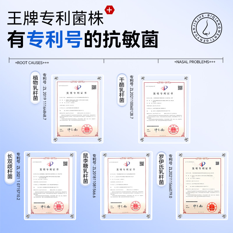 维乐熙黄芪益生菌二氢槲皮素过敏改善鼻痒体质增鼻干强炎粉免流疫