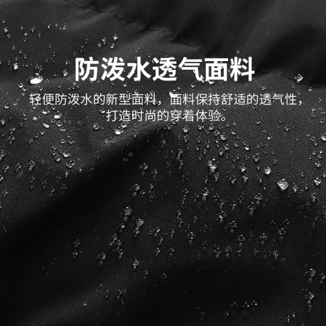 Pull back stand collar three-proof down cotton vest for men