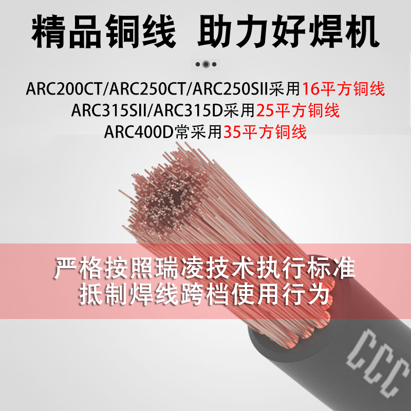 瑞凌小电焊机220v家用纯铜工业级十大品牌250315SII便携式220v380 - 图2