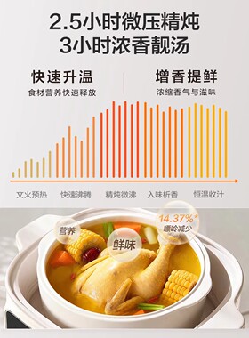 苏泊尔微压电炖锅隔水炖家用全自动煲炖汤陶瓷内胆辅食电炖盅新款