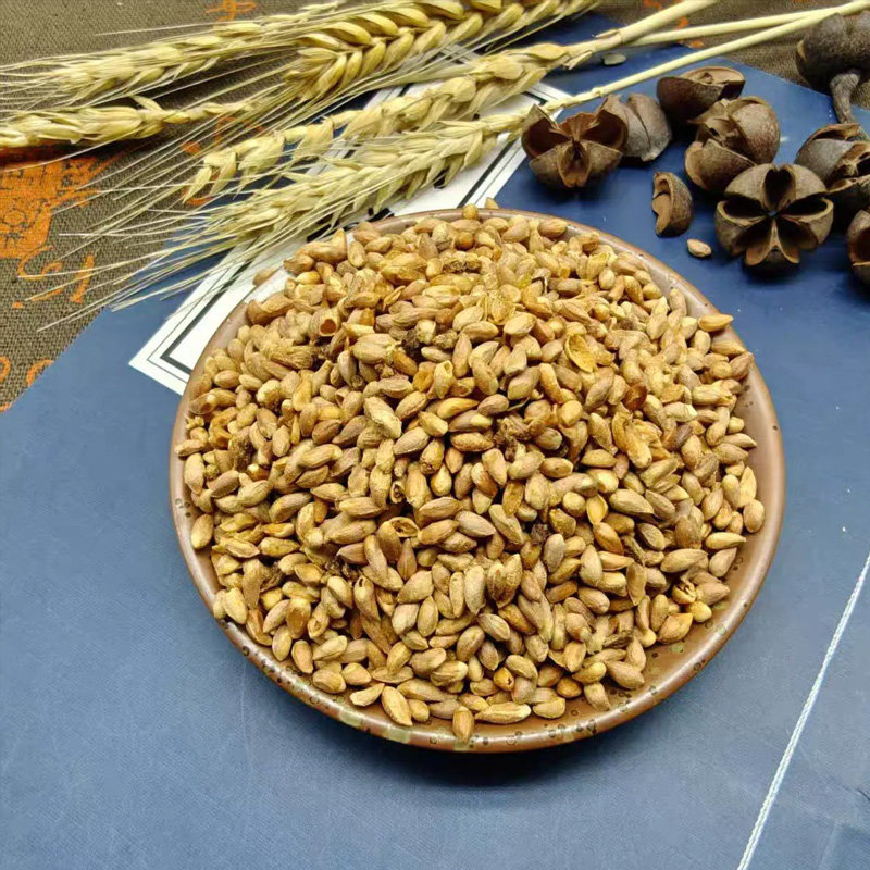 敖德 柏子仁中药饮片500g柏子仁带壳山东正品官方旗舰店药店发货,淘宝优惠券,粉丝福利购,淘宝优惠卷