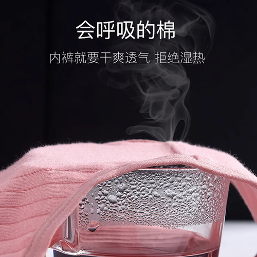 加大码孕妇内裤300斤纯棉抑菌200斤250码超大孕晚期胖mm高腰抗菌 - 图0