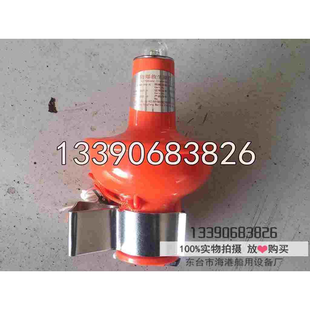 救生圈防爆灯本安型 防爆救生圈灯 DFQD-FB-A救生圈自亮灯浮 CCS - 图2