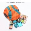 Outdoor children's spring and autumn outing lightweight backpack