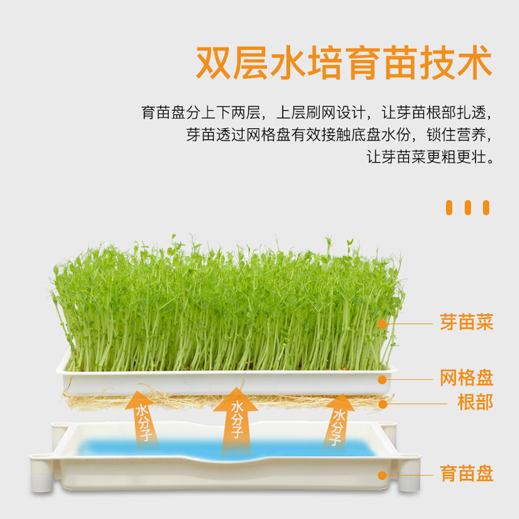 豆芽发芽盆芽苗菜育苗托盘豌豆种植芽菜豆苗生豆芽神器家用