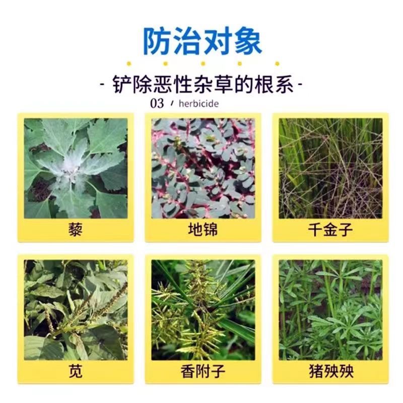 速草霸精草胺磷铵盐除草剂果园茶园除草荒地杂草牛筋草小飞蓬农药-图3