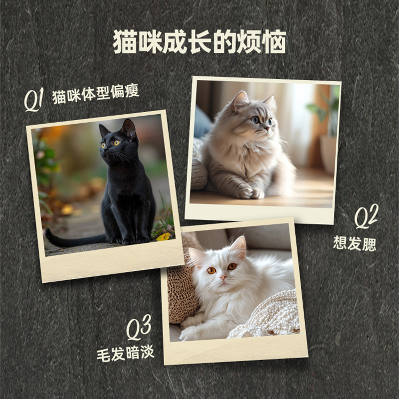 ACANA爱肯拿农场牧场盛宴猫粮鸡肉幼成猫全阶段进口猫粮4.5kg