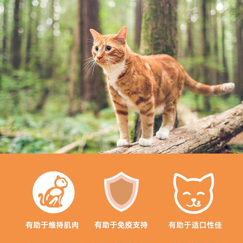 临期特惠渴望鸡肉六种鱼成猫无谷多重营养成幼猫全阶段5.4kg猫粮 - 图1