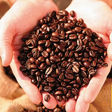 尼可拉古特浓咖啡豆原装进口1kg