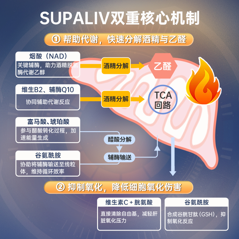 日本SUPALIV速佰力解酒药护肝醒酒丸应酬常备防宿醉提升酒量10粒
