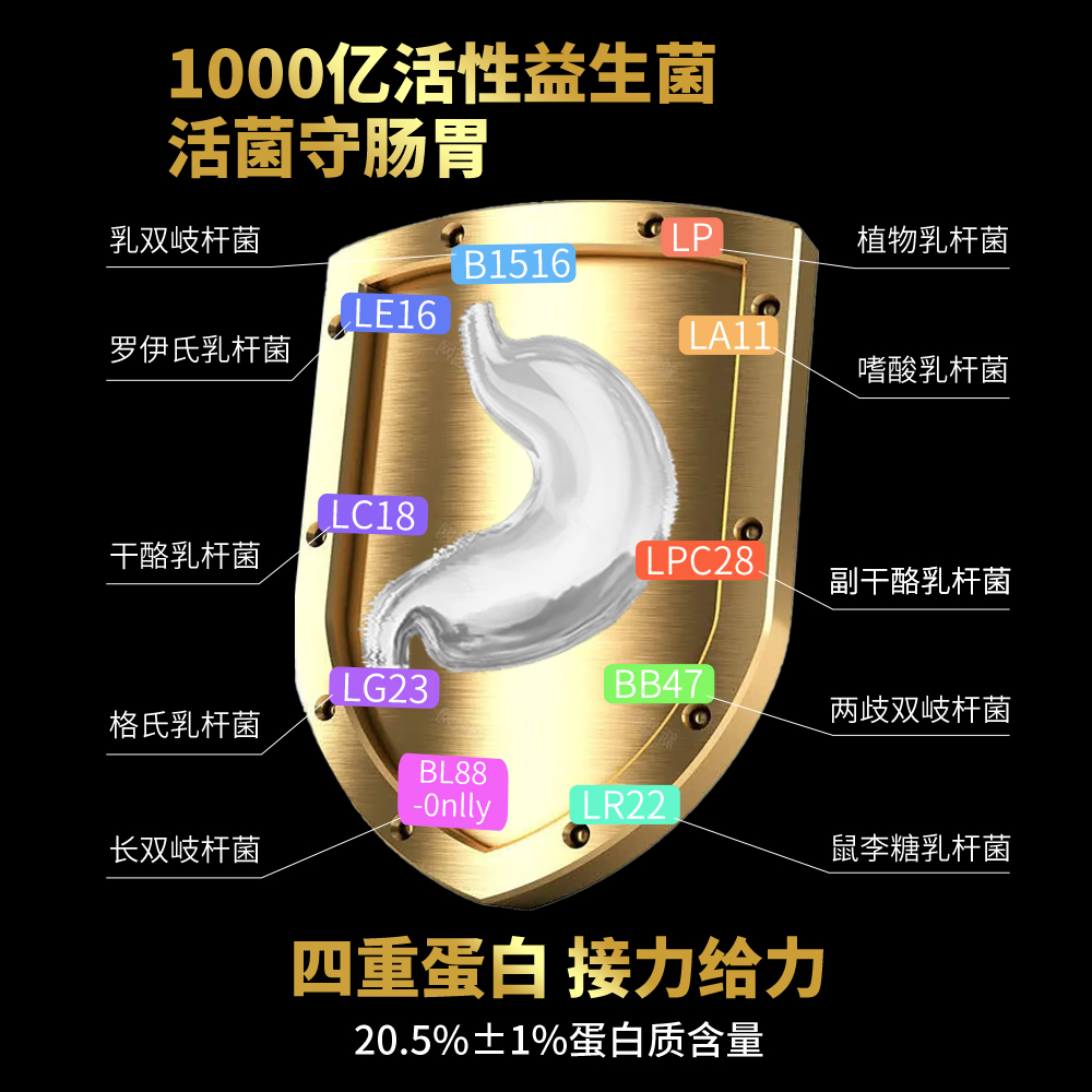 BD必第能量复合益生菌增肌粉瘦人增肌增重健身非乳清蛋白粉MASS - 图2