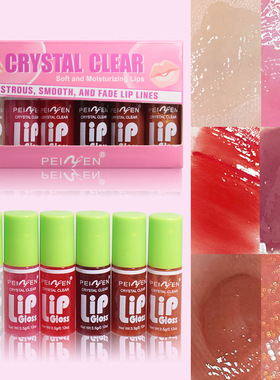 跨境佩妮芬唇釉套装批发唇蜜唇彩口红镜面水雾不粘杯lipgloss外贸