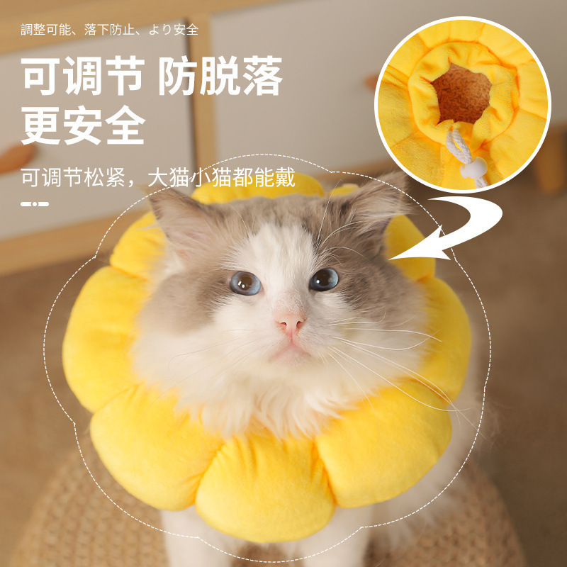 太阳花伊丽莎白圈 宠物猫咪项圈狗狗脖圈绝育耻辱圈防舔防抓头套 - 图1