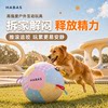 Dog toy large pet ball dog ball