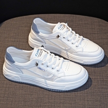 Take to the streets No pressure ~ LW-Changer genuine leather shoes women comfort flat bottom small white shoes 100 hitch mesh