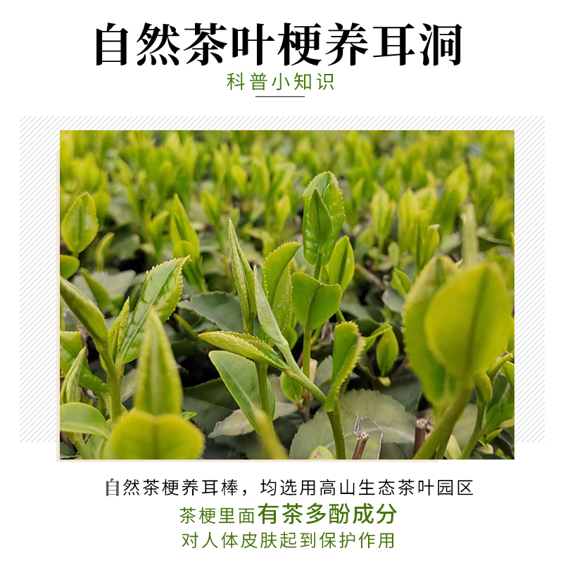 茶叶梗耳棒养耳洞清新自然茶树耳钉洗澡睡觉免摘防堵针耳棍茶叶杆 - 图3