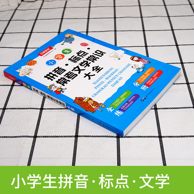 小学语文拼音标点常用文学常识大全 小学生标点符号用法解读年级语文辅导资料练习册上下册通用 小学标点符号用法的书籍专项训练