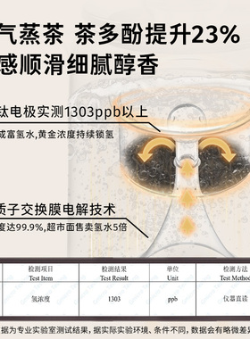 家里泉纯钛矿泉壶养生壶炖煮一体
