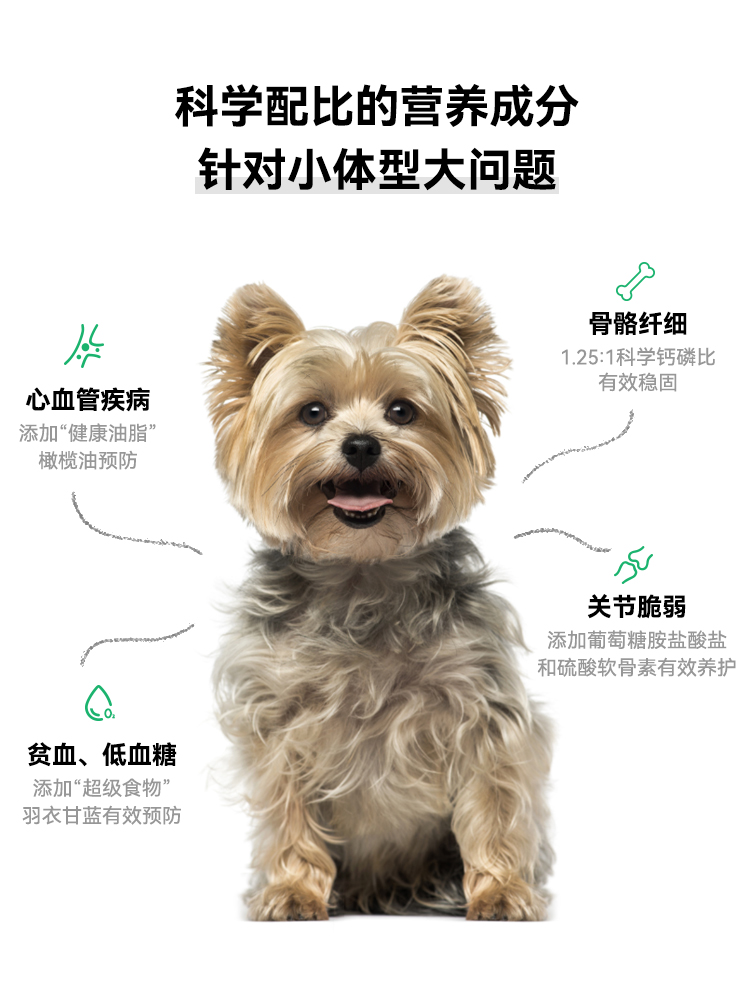 营润狗粮小型犬犬粮泰迪博美比熊专用成犬幼犬粮试吃柯基通用-图2