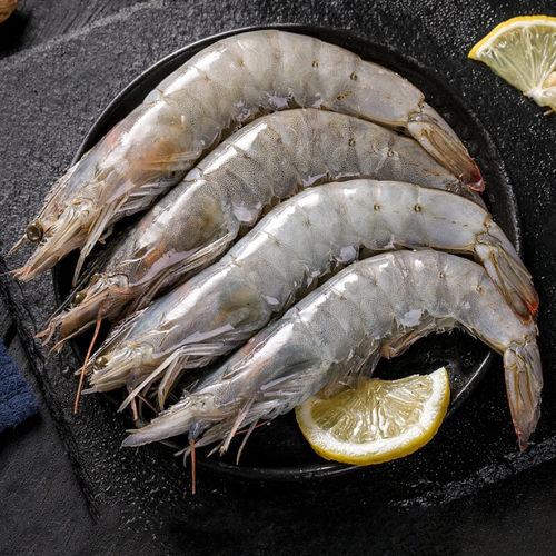 湛江大虾鲜活速冻白对虾海捕特大基围虾海鲜水产北海大虾海虾虾类 - 图1