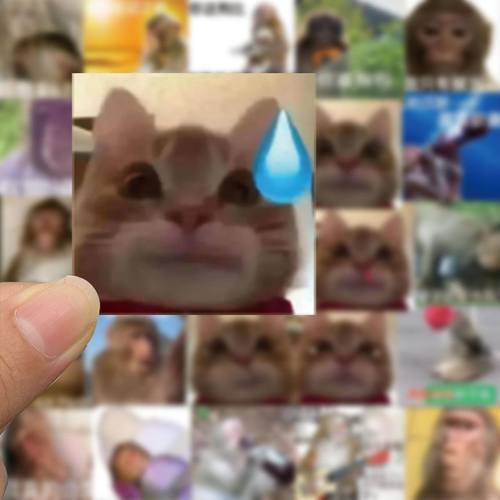 62张歪嘴小猫表情包贴纸网红骚骚猴混合沙雕个性创意装饰防水贴纸 - 图0
