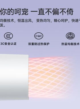 飞科电吹风机家用负离子速干护发