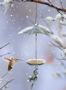 Sungmor铸铁青蛙布施喂鸟器