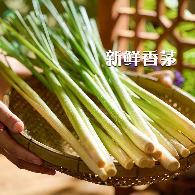 纯素香茅豆瓣酱多种口味佛家素食拌饭拌面下饭休闲家用即食调味酱,淘宝优惠券,粉丝福利购,淘宝优惠卷