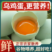 Crow Eggs Fresh Authentic Farmhouse Loose Countryside Bulky Eggs Caterpillar Fungus Cereals Ubony Eggs Green Shell Leather eggs