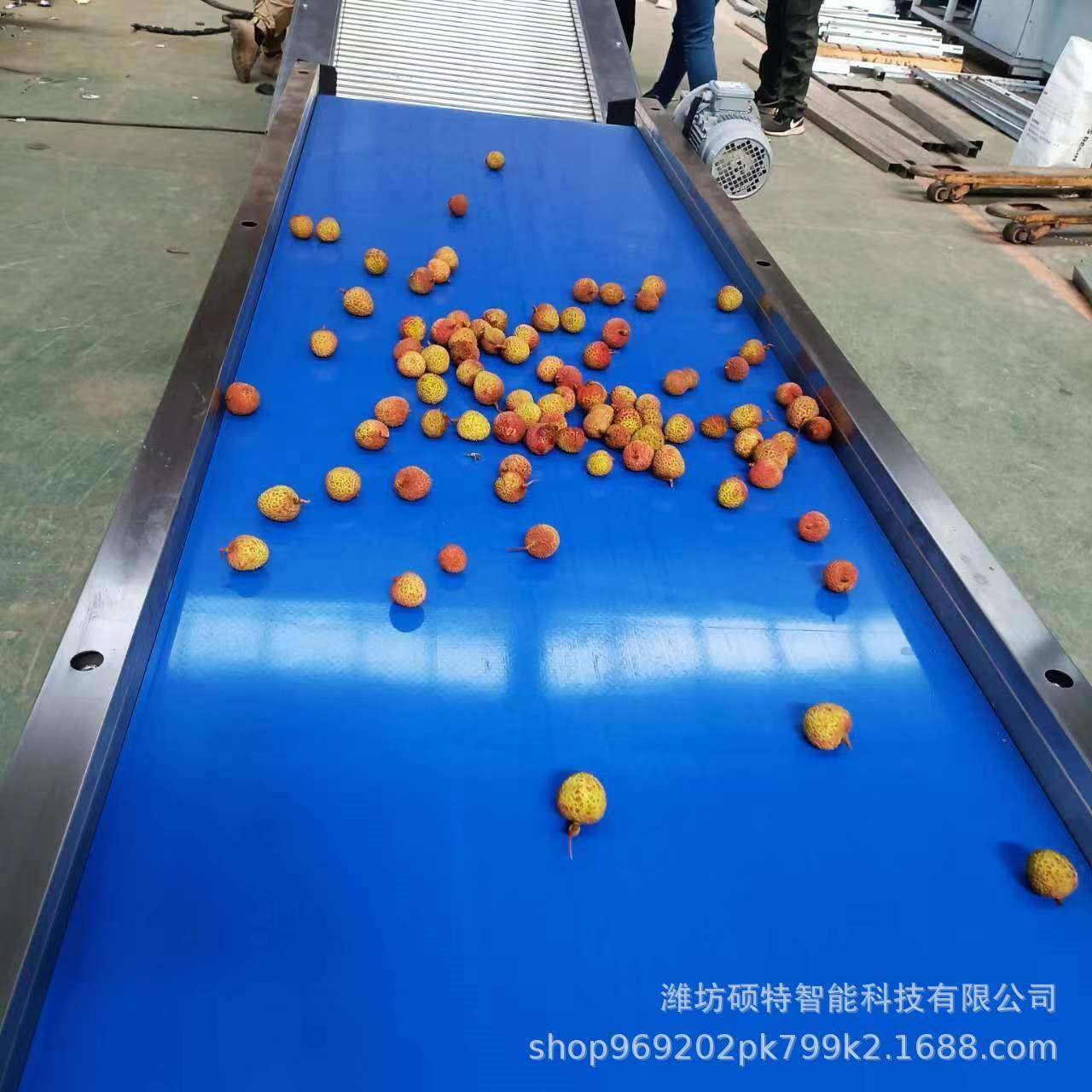 圣女果辊杠式大小分选机 蜜橘直径分级机 和田枣金桔筛选机,淘宝优惠券,粉丝福利购,淘宝优惠卷