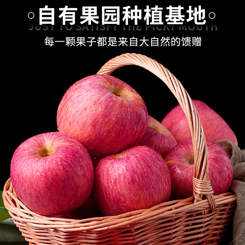 正宗山东烟台栖霞供商超脆红富士苹果当季新鲜水果丑苹果5斤整箱
