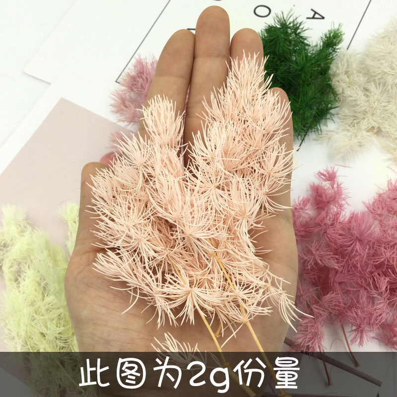 永生花蓬莱松干花DIY情人节礼盒玻璃材料手工制作车挂件花材配花