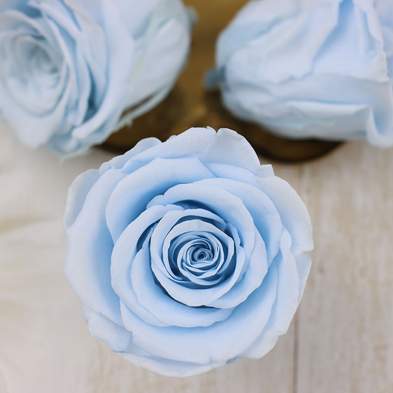 情人节永生花A级真玫瑰花4-5cm保鲜520DIY手工生日礼盒车挂材料