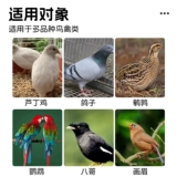 Гель для душа с попугаем, маленькое солнце, тигровая кожа, ванна, специальный спрей для чистки душа Xuanfeng с птичьими перьями, принадлежности для птиц