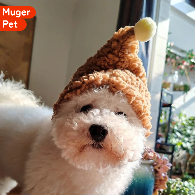 狗狗巫师帽宠物头套猫咪头饰露耳朵小狗专用冬天泰迪柴犬柴犬,淘宝优惠券,粉丝福利购,淘宝优惠卷