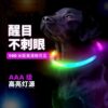 Dog luminous collar lights up at night for walking the dog