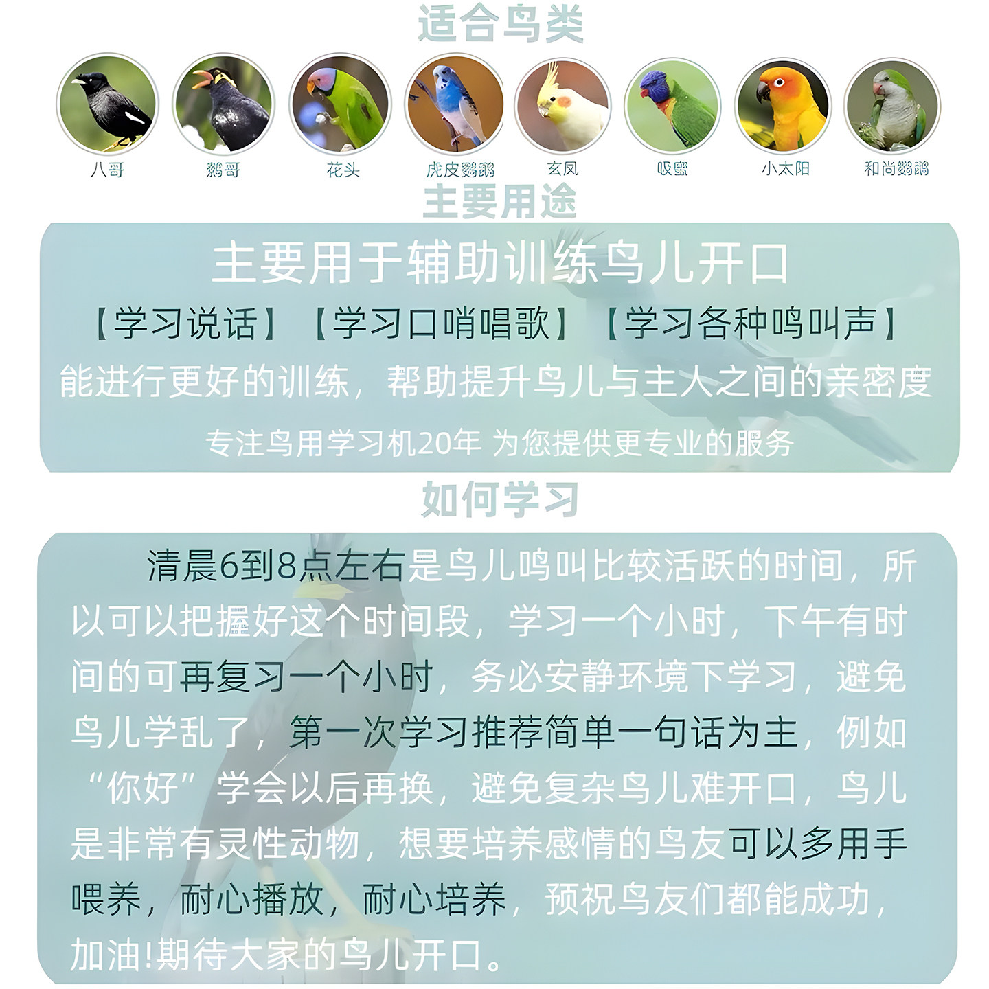 鹦鹉学说话神器八哥小鸟玩具玄凤专用会说话的复读机小太阳训练,淘宝优惠券,粉丝福利购,淘宝优惠卷