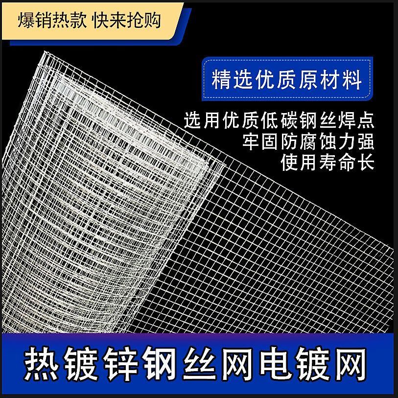 热镀锌铁丝网围栏养殖护栏网养鸡防鼠钢丝网加粗电焊网抹灰网格-图1